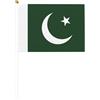 Pandiui23 20 bandiere a manovella Pakistan, Pakistan Mini Bandiera portatile, Bandiera Pakistan, Piccola Bandiera Pakistan, Mini Bandiera Pakistan, bandiere pakistane