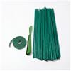 Psxixjsm 50 supporti per piante, bastoncini di bambù da 30 cm x 5 mm, con 50 nastri metallici B per rampicanti, per orchidee di pomodori, orchidee e piante rampicanti in casa e giardino
