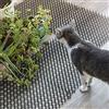 TiSkying Tappeto anti-gatto con punte, griglia tappeto anti-cani con spina, tappeto repellente per gatti, per recinzione di piante da giardino esterno, 13 x 49 cm