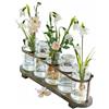 Loberon Ranjo Set di 5 vasi - Accessorio Artistico - Materiali pregiati, Marrone/Trasparente