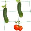 Generic Rete a traliccio per piante rampicanti, 2 x 3 m, 27 fili, resistente, rete di supporto per piante da giardino, in polietilene, con rete da 10,2 x 10,2 cm, per frutta, verdura, cetriolo