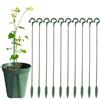 Generic 10 supporti per piante in vaso, resistenti, per rampicanti floreali, decorazione per casa, giardino, attrezzi da giardinaggio, M