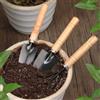GENERIC 3 mini attrezzi da giardino, kit di attrezzi da giardinaggio per la cura delle piante grasse, pianta d'appartamento con paletta, cazzuola, rastrello