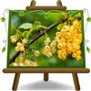 EURO PLANTS VIVAI Ribes Bianco Pianta da Frutto Antico età 2 anni | Autofertile - Vaso 15~20 cm Altezza 80 cm