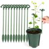 Generic 10 pali da giardino a forma di fiore in vaso, supporto per asta di fissaggio, accessori per piante da giardino (S, 17 cm)