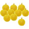 Bseical 10 Pezzi Trappola per Mosche della Frutta Acchiappamosche Adesivo Plant Flycatcher Esterno Trappola per Insetti Moscerini Appiccicose Uccidi Disinfestazione Anti Vespe Zanzare Scaccia Giardino Cattura