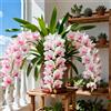 Vnuhgzs Orchidee Cymbidium per Soggiorni - Eleganti e Sontuose - Esaltano lo Stile della Casa - Resistenti Perenni-3 PCS-G