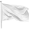 PHENO FLAGS Bandiera Personalizzata Bianca 90x150 cm - Resistente Alle Intemperie Con Occhielli Integrati e Doppio Bordo - Da Dipingere e Scriverci - 100% Poliestere