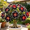 TUYIKJHS Rosa del Deserto/Perenne Resistenti/Esotica tropicale/Exklusiver Gartenakzent/Adatta ai principianti/Adatto per uso interno ed esterno-1Rizomi-A