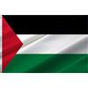 Ainid Bandiera della Palestina, bandiera della Palestina, 90 x 150 cm, con 2 occhielli in ottone, poliestere di alta qualità (bandiera della Palestina)