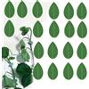 Generic Clip a forma di foglia per piante rampicanti, in plastica, colore verde, supporti di fissaggio per interni ed esterni (10 pezzi)