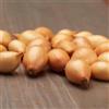DUTCH BULBS EXCLUSIVE PLANTS FROM HOLLAN Pianta bulbi da orto Sturon - 500 gr Semi di Cipolla | Dolce Piccante - Qualità Olandese Piante - 14-21 mm (non semi, non artificiale)