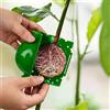 Generic 10 scatole per la crescita delle radici degli alberi, strumenti per innesto a sfera per radici, riutilizzabili, ad alta pressione, kit di propagazione per radici di alberi e fiori (verde)