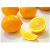 Generic Limone Meyer (5 semi) THS fresco raccolto della stagione (succosa, delizioso)