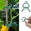 Generic 50/30/10 clip regolabili per piante, riutilizzabili, clip di supporto per piante da giardino, per fiori, viti, verdure, pomodori, in plastica resistente, strumenti essenziali per giardinaggio (50