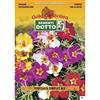 Sementi Dotto Semi di Portulaca Semplice in Mix - h cm 15