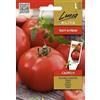 Lucia Elite | Pomodoro - CALIFFO H Sementi per orto | Frutti grandi carnosi | Ibrido per serra e esterno | Semi di pomodoro | 1 bustina