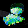 Generic 400 pezzi di ciottoli luminosi, pietre fluorescenti per decorazioni da esterno, giardino, prato, vialetto, acquario (MIX1)