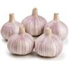 KCT GARDEN Confezione da 5 bulbi di aglio rossi Chesnok per piantare grandi spicchi d'aglio a collo duro semi di aglio per piantare bulbi di aglio pronti per il clima freddo per piantare aiuole rialzate per il