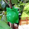 Generic 10 palline per radice multi-pianta, dispositivi per innesto ad alta pressione per arbusti, fiori e alberi da taglio, colore: verde