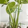 Generic 1 set di supporto per piante resistenti e clip in bambù a forma di tartaruga, perfetto per piante rampicanti da giardino (verde, L, 16,5 x 18,5 cm)