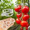 Generic 100 clip di supporto per piante di pomodoro, vite e ortaggi, clip per traliccio in plastica per crescita verticale, accessori da giardino per piante sane