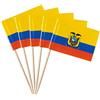stidsds 100 pz bandiera Ecuador Ecuadorians stuzzicadenti bandiere mini piccolo Ecuador cupcake topper bastone bandiere banner festa di campagna cocktail frutta decorazione