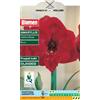 Blumen amaryllis hippeastrum rosso