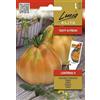Lucia Elite | Pomodoro - LANTERNA H Sementi per orto | Frutti grandi a pera dolci carnosi | Ibrido per serra e giardino | Semi di pomodoro | 1 bustina