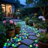 Generic 100 ciottoli luminosi che si illuminano al buio, pietre decorative per esterni, per giardino, vialetto, acquario, vialetto, vialetto, patio, cortile, vasi per piante, fai da te, pietre decorative
