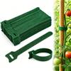 Generic 50 fascette per piante da giardino con gancio e anello, cinghie in nylon regolabili riutilizzabili per viti, pomodori, steli e supporto per piante, clip di fissaggio antiscivolo sicure