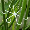Generic Set di 8 supporti per piante rampicanti per piante d'appartamento, in plastica, riutilizzabili, accessori per interni ed esterni (trasparente)