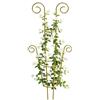 Generic Traliccio per Piante Rampicanti da Esterno Supporto per rampicanti da | paletti di sostegno clematis Adatto a Pothos, , Clematide, Geranio, uso interno ed esterno, balcone, terrazzo e gia