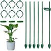 heavenlife 6 Pcs Sostegno per Piante 30cm, 6 Clip Grandi Regolabili, 6 Spiedini di Terra e 3 Connettori, Pali per Orto, Pomodori e Orchidee, Supporto per Piante da Interno, Resistente alla Corrosione