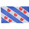XVBCDFG Bandiera 9,6 x 1,5 m (senza penna) Frisia FT, bandiera Frisia, Paesi Bassi, Olanda Olanda Cuori
