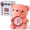 Ariceleo Rosa Orsetto Romantico con Rosa Preservata, Vera Rosa nel Peluche, Elegante Scatola Regalo, Collana a Forma di Cuore, Regalo Romantico Perfetto per San Valentino Festa della Mamma Matrimoni