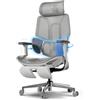 Hbada E3 Air Sedia Ufficio e Scrivania Ergonomica, con Supporto Lombare Dinamico a 3 Zone, Testiera Regolabile 3D, Braccioli Regolabili 3D, Grigio con Poggiapiedi