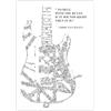 Handmade Frankenstrat stampa con scarabocchi all'interno del ritratto del chitarra creata da Eddie Van Halen| To hell with the rules. If it sounds right, then it is | illustrazione in bianco e nero drawinside