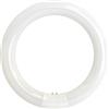 EXTRASTAR Neon a Risparmio Tubo Circolare T9 32W/140W 1700Lm diam 300mm Luce Fredda Extrastar