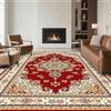 RUGMRZ Tappeti Lavabili in Lavatrice Pelo Corto 40x60cm,Zerbino Ingresso Interno Rosso,Stile Persiano per Cameretta,Condominiale,Entrata Interno