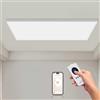 Hocosyme Pannello Radiante Infrarossi 1000W - Con Soffitto Con Telecomando e WIFI, Riscaldatore an Infrarossi per Montaggio a Parete Fino a 120 Gradi Celsius - TÜV