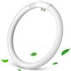 Aigostar T9 Lampadina Fluorescente 32W, Attacco G10q, 6500K, D29.9 × 2.9cm | Luce Bianca Fredda 6500K, 2100lm, Circolare, Vetro