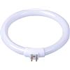 WSD eCommerce 2 tubi rotondi per lampada, 11 W T4 LED a luce bianca tubo circolare con 4 pin, 4,8 pollici LED lampade da soffitto lampadine di ricambio lampadine fluorescenti a incandescenza tubo circolare
