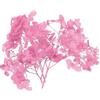 PATIKIL 10g Fiore Di Ortensia Essiccato Fiori Pressati Naturali Rosa Pink | Petali Di Ortensia Reali, Per DIY Resina Artigianato Carte Regalo Floreali Decorazione Candele
