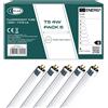 CLAR - Tube Fluorescent T5 4W, Tube Néon, Lampade Fluorescenti, Lampadine, 13,6 x 1,6 cm (4 Watts T5, Pack 5)