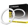 HYTAMA TOOLS LUMINA LIGHT - T9 Lampadina Fluorescente Attacco G10q Luce Bianca Fredda 6400K, Circolare, Vetro. [Classe di efficienza energetica A] (40)