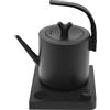 NoneDanGee Bollitore elettrico a collo di cigno in acciaio inox 1 l, bollitore elettrico con regolazione della temperatura e mantenimento del calore, cottura rapida (nero)