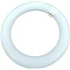 Shop SoftAir® Circolina Led Consumo 14W Corrispondenza 80W diametro 21,5 cm 1300LM Lumen Luce Bianco Naturale 4000k Calda 3000k Fredda 6500k Attacco G10Q T9 (Luce Naturale 4000k)
