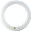 PHILIPS Lampada Fluorescente Lampada TL e 22 W/865 EAN: 8727900840537
