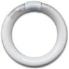 Moel Lampada Ricambio Attinica Fluorescente Circolare G10q 32W Per 361B, 363G, 368G Mo-El